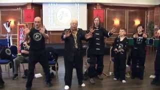 JOOK LUM SEMINAR G M GIN FOON MARK IN ITALY [upl. by Secrest864]