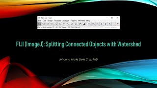 FIJI ImageJ Splitting Connected Objects with Watershed [upl. by Yemac501]