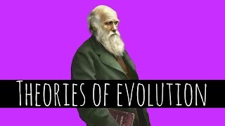 Theories of Evolution  Charles Darwin and Natural Selection  GCSE Biology [upl. by Resa845]