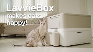 LavvieBox an IoT Healthcare Litterbox for Cats [upl. by Greenburg]