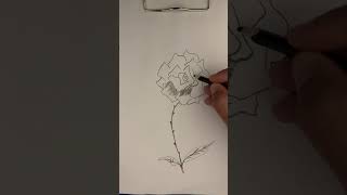 how to draw and a rose [upl. by Alrats]