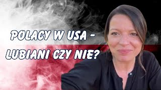 POLACY SĄ NIELUBIANI  ŻYCIE W USA  polacy usa vlog [upl. by Jonny157]