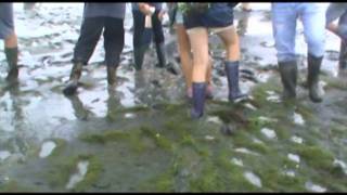 Wadlopen met kazou op ameland [upl. by Eerolam]