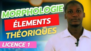 Analyses en Morphèmes Éléments Théoriques [upl. by Godric]