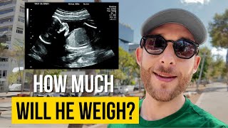 Final Baby Weight Estimation Week 36 Dad Vlog [upl. by Yecac461]