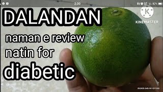 DALANDAN FRUIT REVIEW FOR DIABETIC [upl. by Nowtna577]