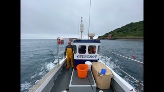 Commercial Lobster Fishing From Mousehole In Cornwall  Cygnus 21 Sustainable Fishing Small Boat [upl. by Daegal823]