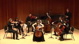 Arvo Part  Fratres  for cello and chamber orchestra [upl. by Lejna423]