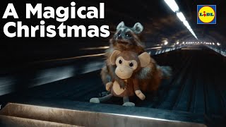 Lidl GB  A Magical Christmas  Tells heartwarming raccoon tale [upl. by Aihsei]