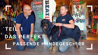 Das perfekt passende Hundegeschirr  Teil 1 [upl. by Tisman]