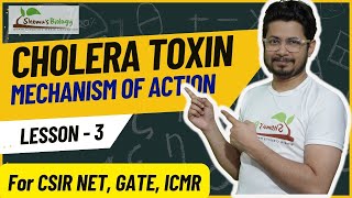 Cholera toxin mode of action  How Cholera toxin works [upl. by Aliuqet475]