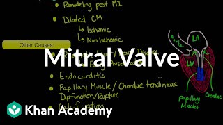 Mitral valve regurgitation and mitral valve prolapse  NCLEXRN  Khan Academy [upl. by Aietal674]