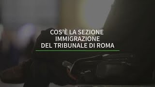 Cose la sezione immigrazione del Tribunale di Roma [upl. by Ahseat]