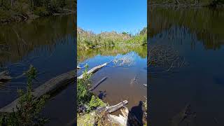 ¿Ya conociste a los TABANOS de la patagonia argentina verano 2024 Laguna C° Currumahuida hiking [upl. by Hickey756]