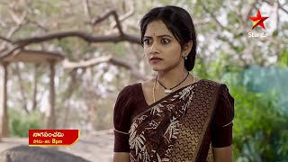 NagaPanchami  Promo  2nd Feb 2024  Star Maa Serials  Mon Sat at 8 pm  Star Maa [upl. by Fazeli596]