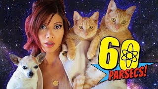 WHICH CAT DO I EAT FIRST  60 Parsecs [upl. by Grey]