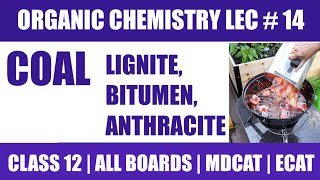 LIGNITE BITUMEN ANTHRACITE COAL FORMATION  ORGANIC CHEMISTRY FROM ZERO  EASY EXPLAINED  1112 [upl. by Barbette]