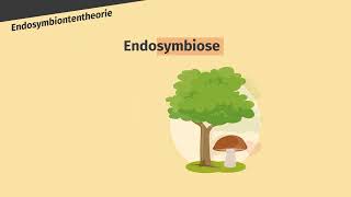 Endosymbiontentheorie – Entstehung der Chloroplasten und Mitochondrien einfach erklärt  sofatutor [upl. by Kcirrag679]