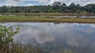 Site Agricole de TourapSarl Inondations [upl. by Salter]