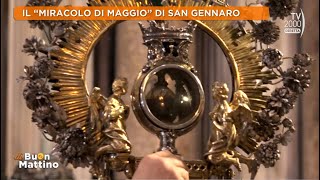 Di Buon Mattino Tv2000  Il miracolo del Sangue di San Gennaro [upl. by Luke376]