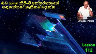 L 112  ස්වාභාවික ස්පිනල් ඇතුළත් කිරීම්  අන්වීක්ෂීය ආශ්චර්ය සොයා ගන්න  Natural Spinel Inclusions [upl. by Cadell]