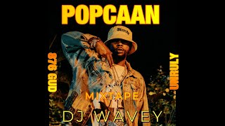 POPCAAN MIXTAPE CLEAN 2024 UNRULY 876 GUD  DJ WAVEY  CHUBBLE [upl. by Ensoll]