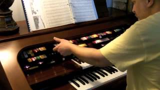 Lowrey Organ [upl. by Nannahs]