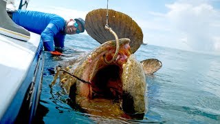 Caught a Monster Grouper that Weighed MORE than the BOAT [upl. by Maccarthy932]