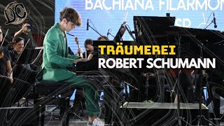 Träumerei  Robert Schumann [upl. by Carie]