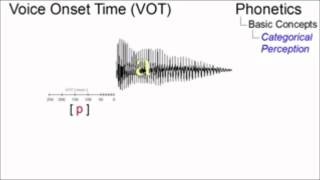 CATEGORICAL PERCEPTION THEORY [upl. by Trinia]