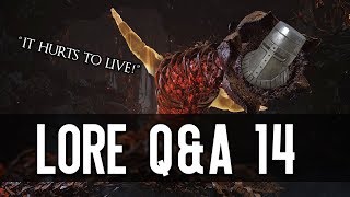 Dark Souls Lore QampA 14  Solaire amp The Worm [upl. by Carrew919]