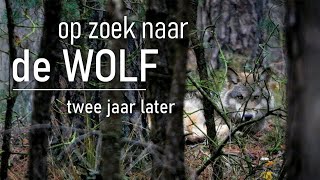 83  OP ZOEK NAAR DE WOLF  twee jaar later [upl. by Marielle]