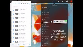 Georgs MegaPack How To Batch Import Multiple Brushes amp Complete Sets into Procreate 4 [upl. by Volny]