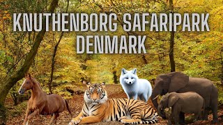 Knuthenborg Safaripark Denmark [upl. by Aligna216]