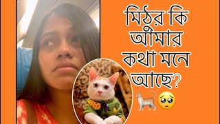 মিঠুর কি আমার কথা মনে আছে 🐈🥺  MimiMithu [upl. by Noy]