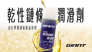 【乾性鏈條潤滑劑 】GIANT自行車潤滑保養油系列 [upl. by Nitsej]