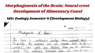 Morphogenesis of Brain  Development of gastrointestinal Tract development [upl. by Ammeg]