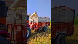 Farming video farmingagriculturetractorshortsvideoshorts [upl. by Killarney]