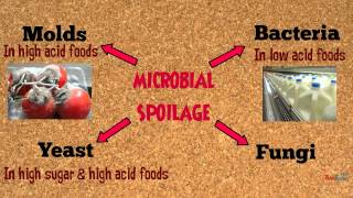 Food Spoilage Microorganisms [upl. by Alyak]