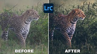 SECRETS To MOODY Wildlife Photography In Lightroom [upl. by Anicart]