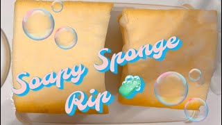 ASMR  Soapy Sponge Rip 🫧 Lots of Suds [upl. by Simmonds]