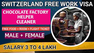 Switzerland Free Work Visa Switzerland Free Jobs for Indian Cleaner Helper Jobs Switzerland [upl. by Golightly]