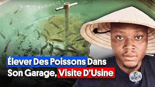 cette usine chinoise taide a gagner des millions dans LA PISCICULTURE en Afrique [upl. by Kosey]