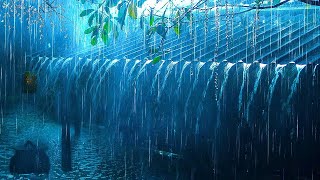 Sleep Instantly with Heavy Rain  Thunderstorms Sounds For Sleeping Relaxing [upl. by Dever438]