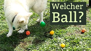 Eure Fragen zum Ball im Hundetraining [upl. by Jarin]