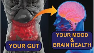 How Your Gut Affects Your Brain [upl. by Issac]