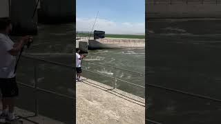 Fishing in the aqueduct with a huge pool fishing catfishhunter catfish fishingtechniques [upl. by Miranda761]