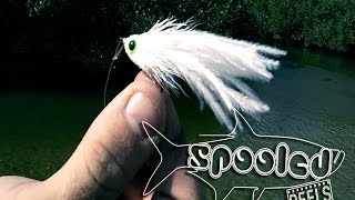 Mangrove Snook on Fly [upl. by Airdnahc]