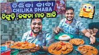 ଆଜି CHILIKA DHABA ରେ ଚିଙ୍ଗୁଡ଼ି କଙ୍କଡା ମାଡ ହେଲା 😱😱 CHILIKA LAKEPANTHANIVAS Odia Vlog Berhampur [upl. by Cristine]