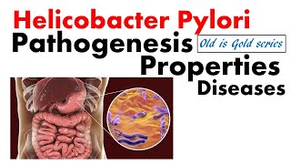 Helicobacter pylori microbiology  Pathogenesis disease treatment diagnosis  peptic ulcer [upl. by Dani505]